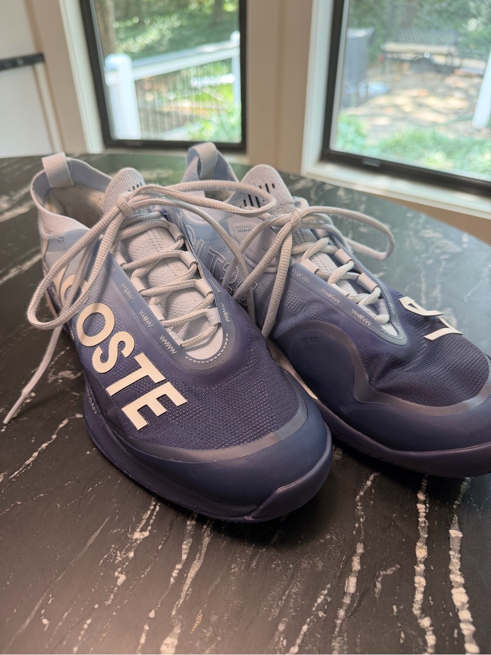 Lacoste Woman’s Navy Blue Tennis Court Shoes